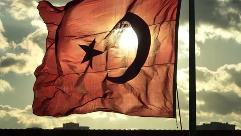 Waving Turkish flag. Background sky. Stock Footage 220359944