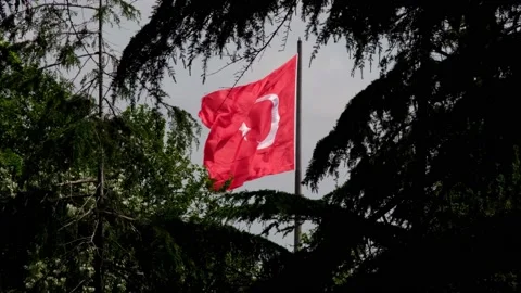 Waving Turkish flag between tree branches, Turkey country flag Stock Footage 200106370