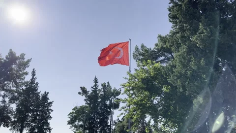Waving turkish flag Stock Footage 246427719