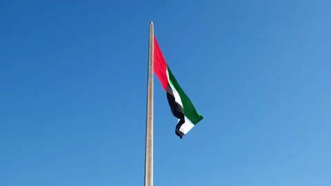 Waving UAE flag on  blue sky background 스톡 동영상 292151097