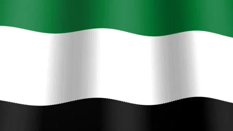 Waving UAE national flag 3D motion loop background Vídeo Stock 343724906