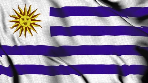 Waving Uruguay Flag with Sun of May Emblem Stock Footage 314678410