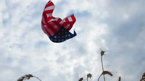 A waving US flag flies over wheat ears in a field against a cloudy sky 스톡 동영상 172552782