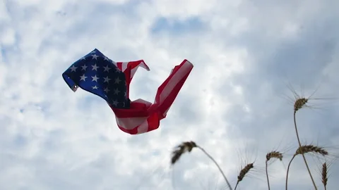 A waving US flag flies over wheat ears in a field against a cloudy sky 스톡 동영상 172552834