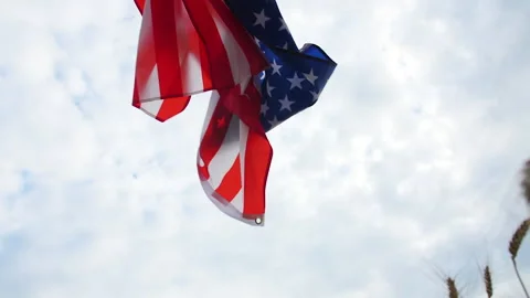 A waving US flag flies over wheat ears in a field against a cloudy sky 스톡 동영상 172552895