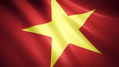 Waving Vietnam Flag Stock Footage 100177832