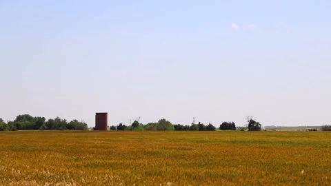 Waving wheat in Oklahoma Video stock 131689610