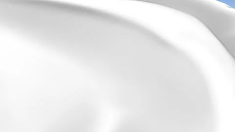 Waving White Color Flag Background Loop Stock Footage 317847713