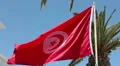 Waving on wind flag of Tunisia. Blue sky and palm tree HD Footage