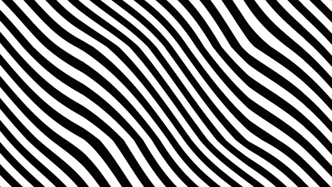 Wavy black and white lines abstract geometric background for design project.. Stock Footage 319922343
