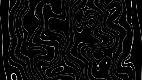 Wavy black and white pattern for video and website templates Video stock 246046853