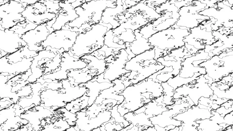 Wavy black stripes on white background, topographic pattern Stock Footage 136988170