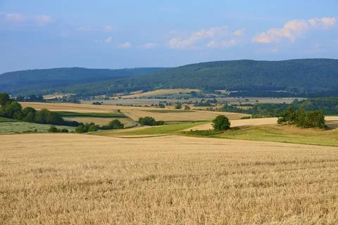 Wavy fields stretch to the horizon, under a blue sky, summer, Moenchberg, Stockfoto's