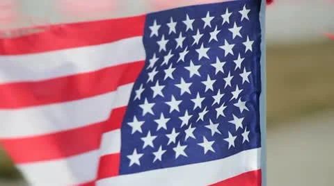 Wavy flag 動画素材 10786828