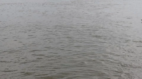 Wavy flowing river 10288 스톡 동영상 43298270