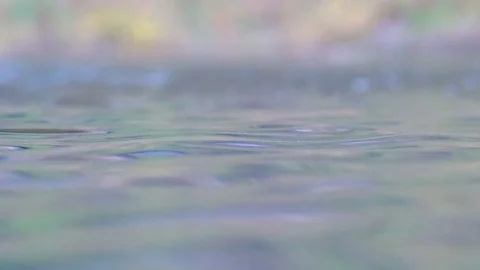 Wavy Lake Surface Stock Footage 81456344