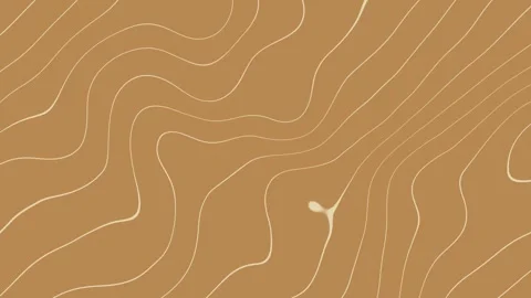 Wavy light brown line orange bg Stock Footage 273445707