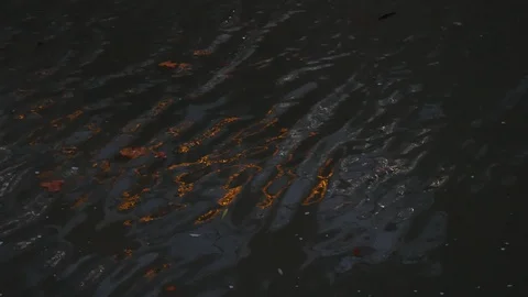 Wavy Lights Video stock 124255143