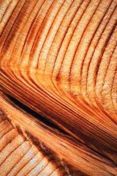 Wavy lines on the surface of the timber Stock Photos