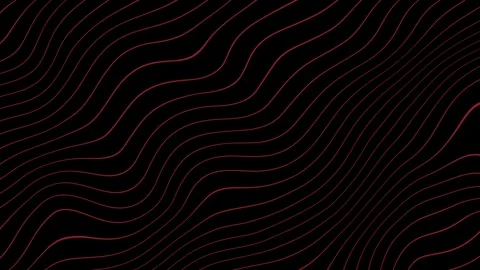 Wavy liquid red line animation background Stock Footage 312486234