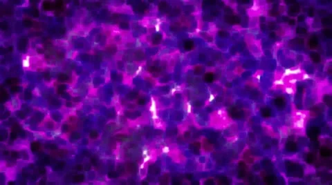 Wavy loop Stock Footage 18077281