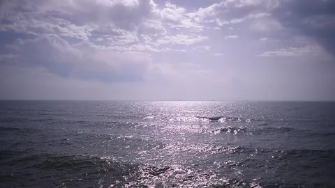 Wavy Ocean Waves 库存影片 132170832