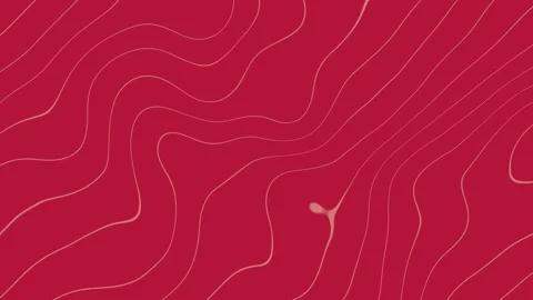 Wavy orange line red bg Stock Footage 273446422