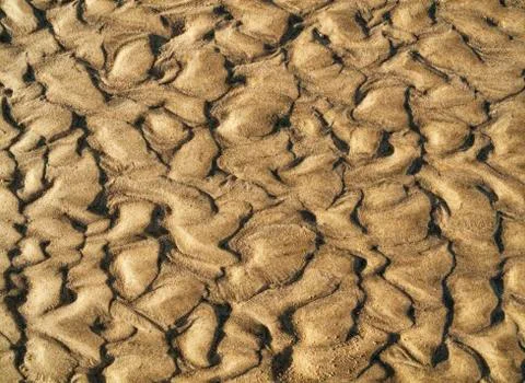 Wavy pattern in the sand of beach Cadiz province Andalusia Spain Europe Stock Photos