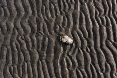 Wavy pattern of sand on a beach with a lonely shell. Wavy pattern of sand ... Stock Photos