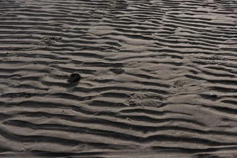 Wavy pattern of sand on a beach Stockfoto's