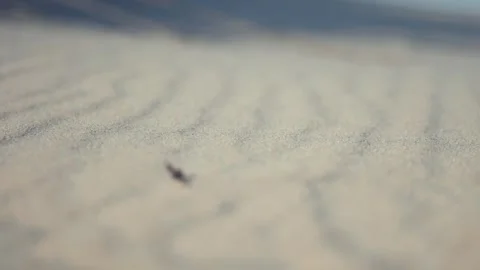 The wavy pattern on the sand. A close-up parallax shot, bokeh background. Stock Footage 276612675