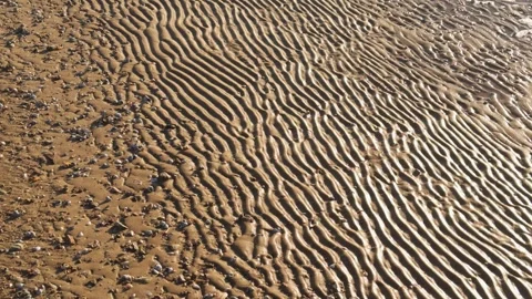 Wavy pattern on sand left by waves at low tide. Vídeos de archivo 297365620