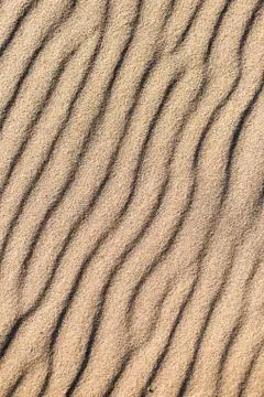 Wavy pattern sandy texture of clean beach sand surface. Coastline travel back Stock Photos