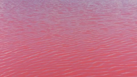 A wavy pink water surface texture. A liquid pattern of red salt lake Stock Footage 165592374