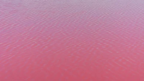 A wavy pink water surface texture. A liquid pattern of red salt lake Stock Footage 165592393
