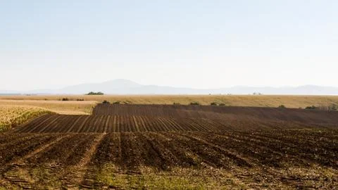 Wavy ploughed fields Stock Photos