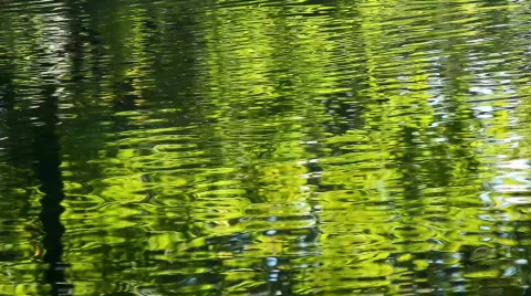 Wavy pond Stock Footage 863720