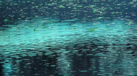 Wavy pond Stock Footage 863738