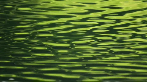 Wavy pond Stock Footage 874357