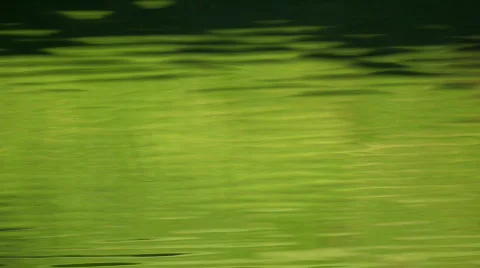 Wavy pond Stock Footage 874427