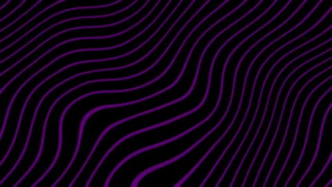 Wavy Purple Lines on Black Background abstract color Stock Footage 317453196