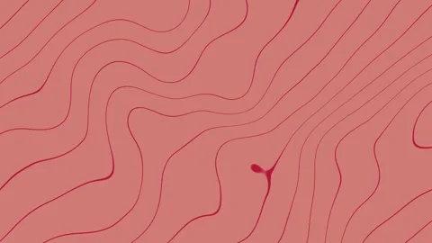 Wavy red line orange bg Stock Footage 273448666