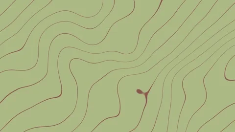 Wavy redish line light green bg Stock Footage 273448724