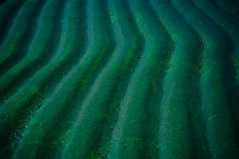 Wavy sand on the beach Foto stock