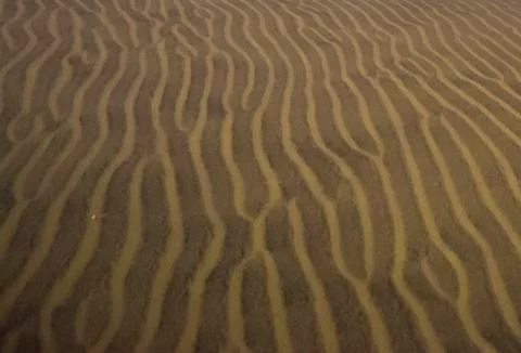 Wavy sand texture Foto stock