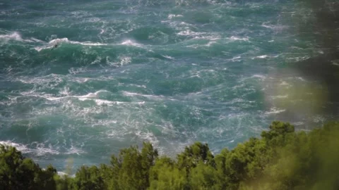 Wavy sea through green pine trees Stock Footage 168777207