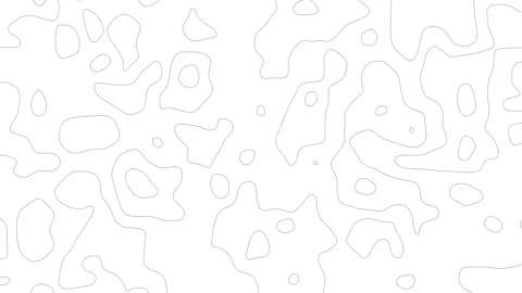 Wavy Topographic Lines Forming Abstract Patterns Stock Footage 319219074