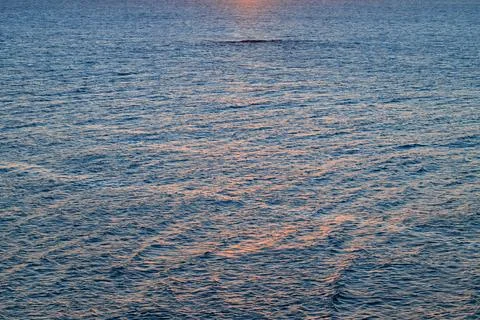 Wavy water background in evening sunset time glare light shine effect calm co Stock Photos
