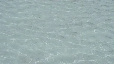 Wavy water in the pool Stock Footage 182929912