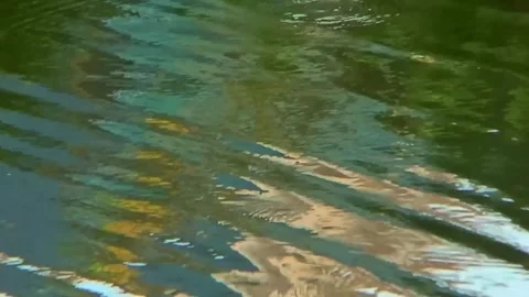 Wavy water reflection in the pond Stock Footage 254040758